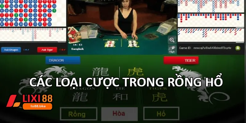 Các loại cược trong Rồng Hổ
